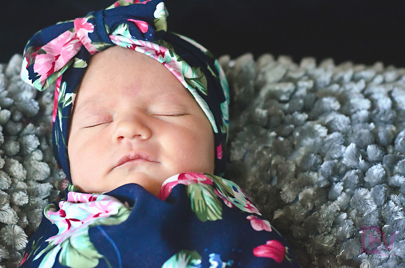 Zenfolio | C. L. Vest Photography Bellville, TX Portrait, Fine Art ...